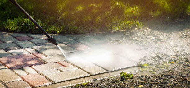 Best Warehouse Cleaning  in Flower Hill, NY